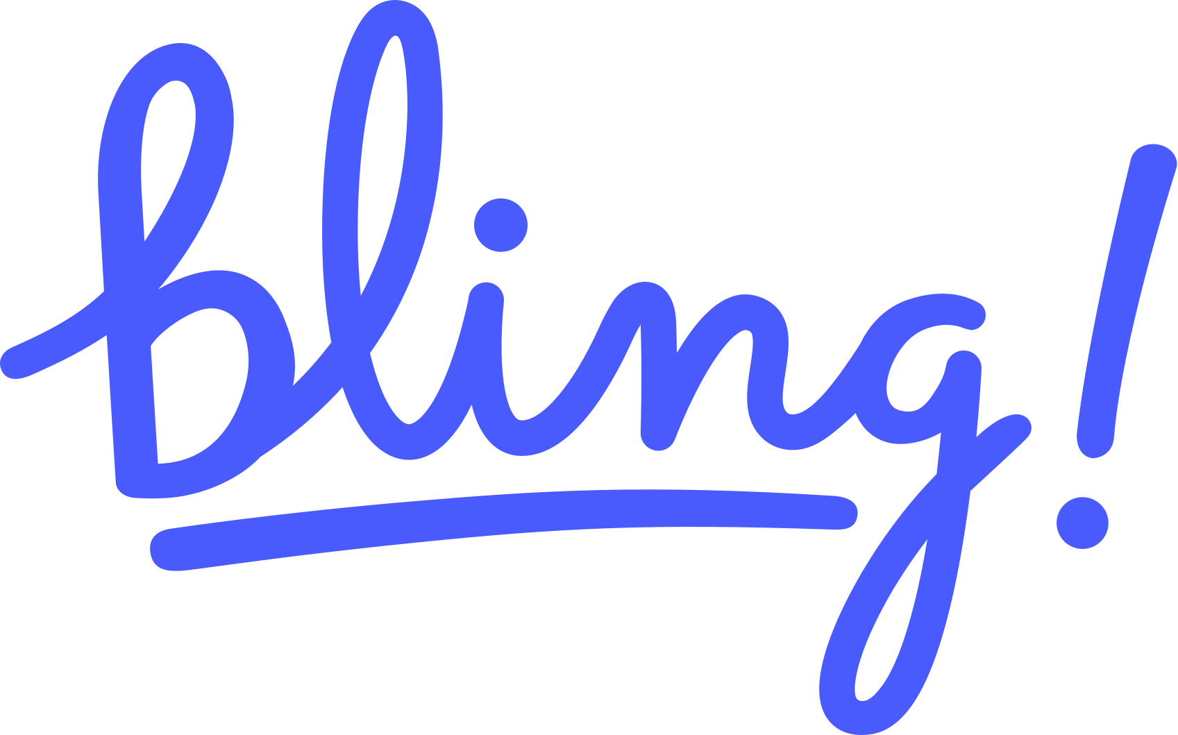 bling.de